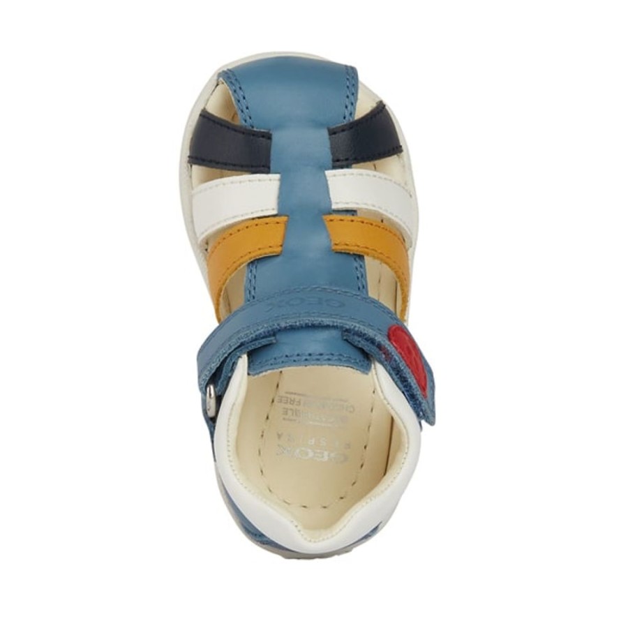 Boy Geox | Macchiato Multicolour Blue Geox